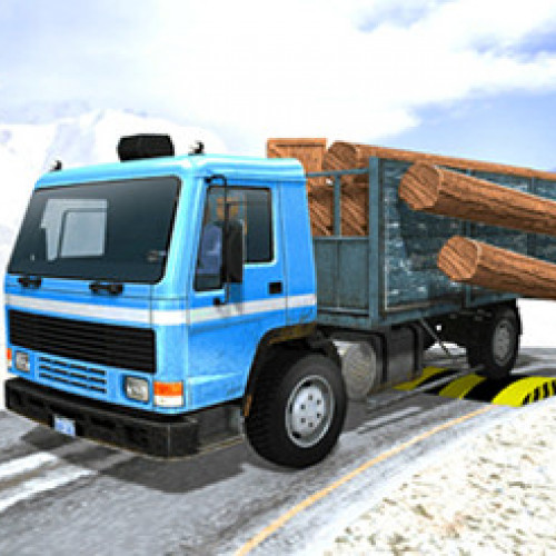 Indian Truck Simulator 3D