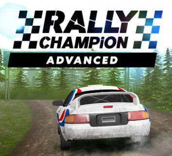 /upload/imgs/rally-champion.jpeg